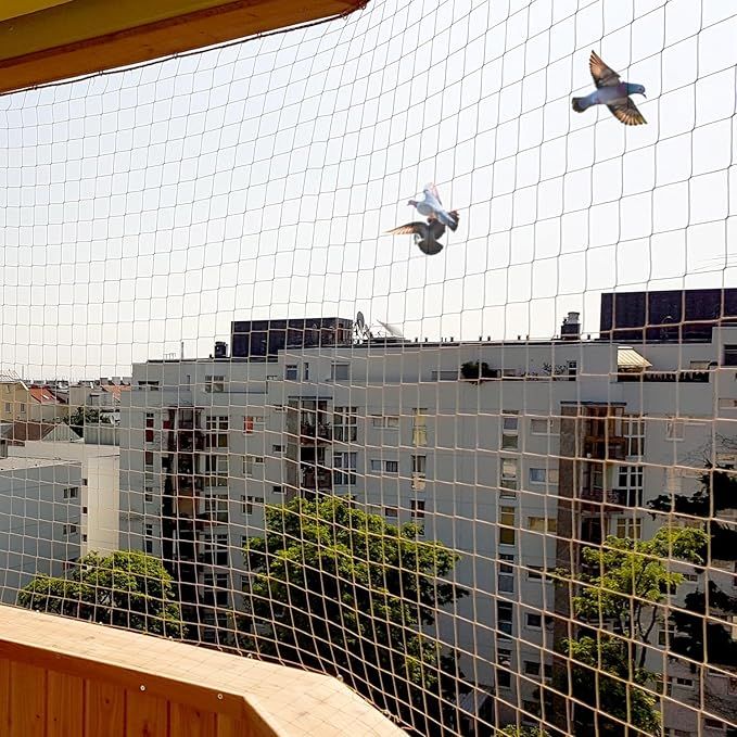 Bird Net 3